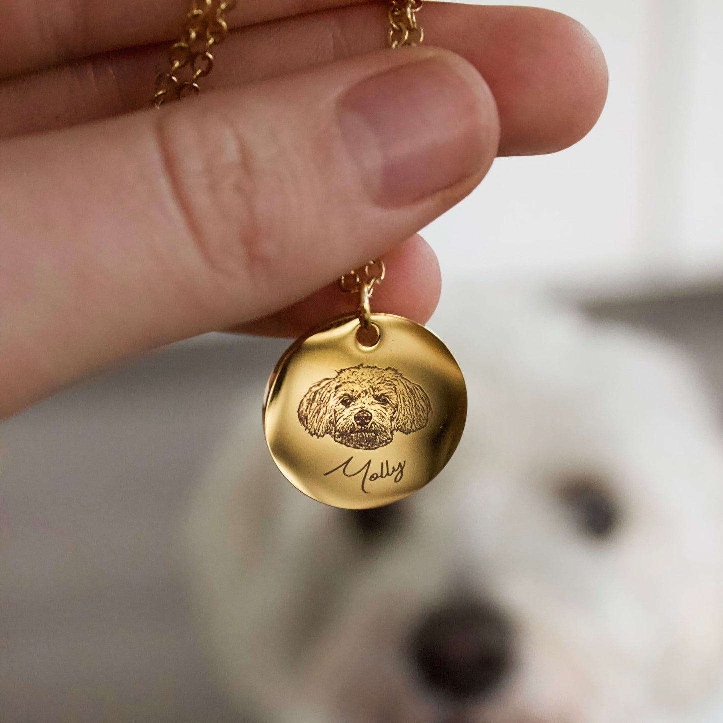 Hunde Halskette