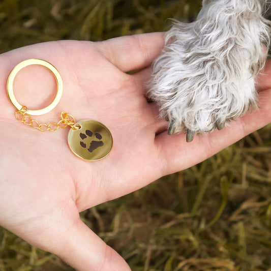 Pfote Schluesselanhänger